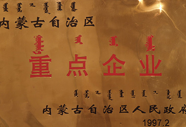 内蒙古世俱杯app官方集团有限公司