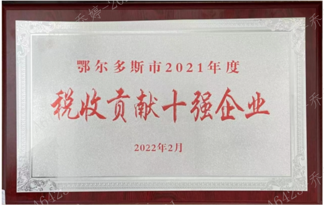 内蒙古世俱杯app官方集团有限公司