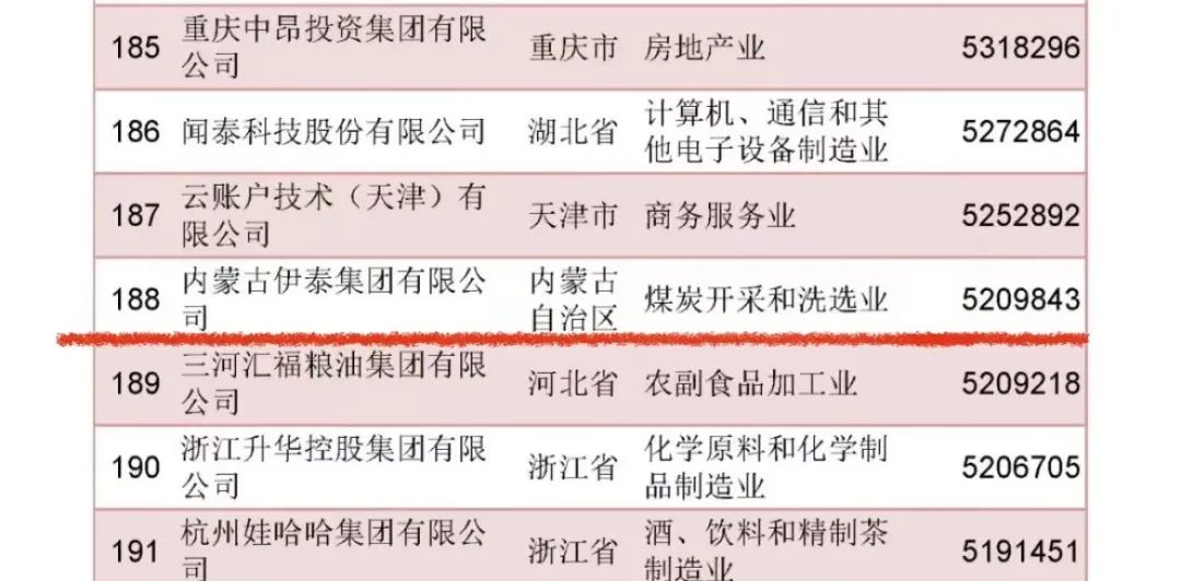 内蒙古世俱杯app官方集团有限公司